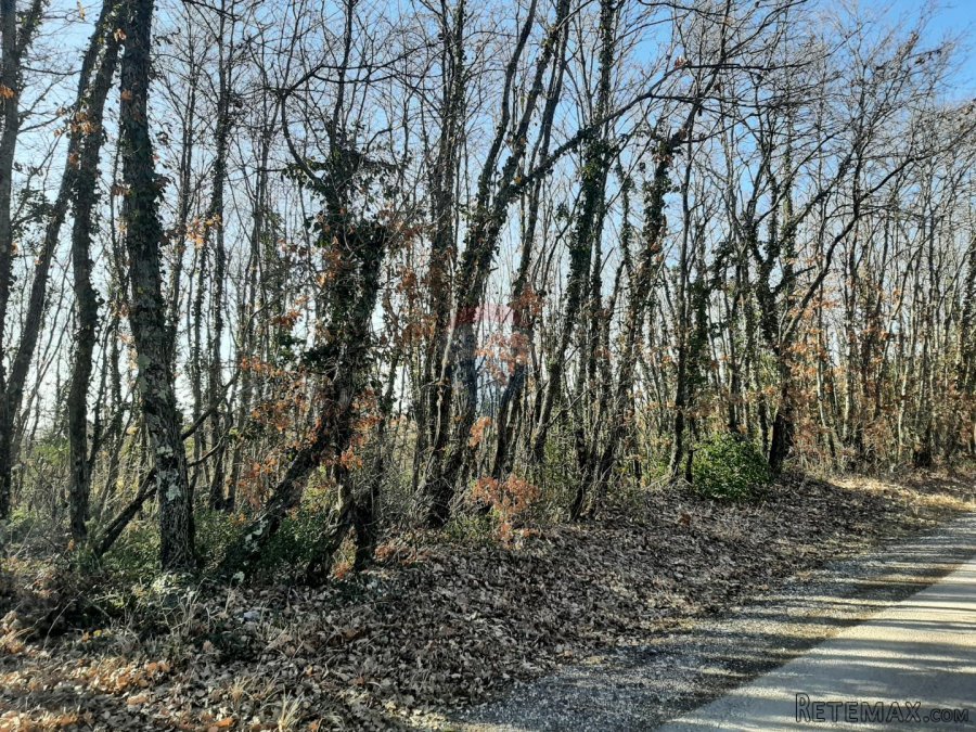Istra, Svetvinčenat, građevinsko zemljište - 5
