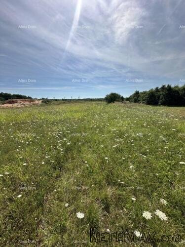Prodaje se građevinsko zemljište, 5832m2, Barban - 5