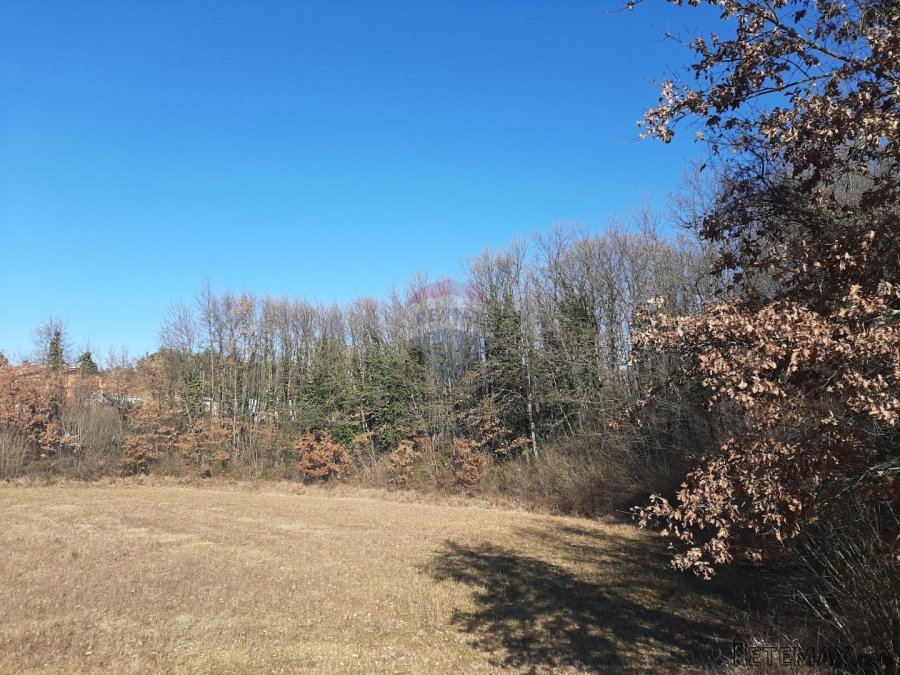 Istra, Svetvinčenat, građevinsko zemljište - 6