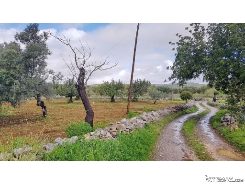 Plot With Ruin To Built 300m2. - 2