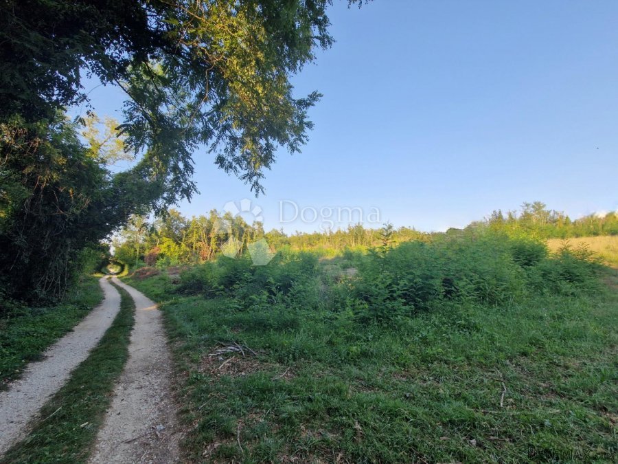 Poljoprivredno Zemljište 200m od centra Vižinade