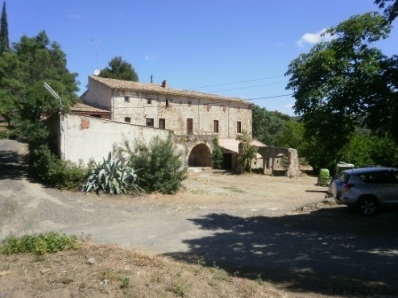 Wine Production Domaine On 137 Hectares..
