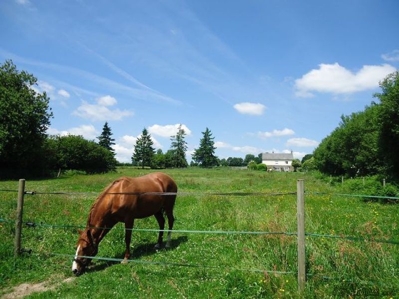 Country House with Equestrian Land - 2