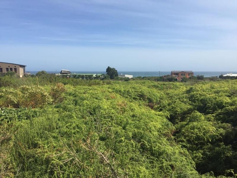 Bettys Bay Vacant Land, Bettys Bay - 2