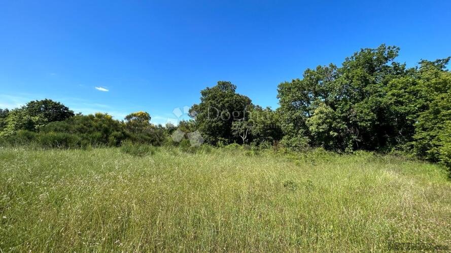 Šuma u Marčani: 17544 m² s Pristupnim Putem - 2
