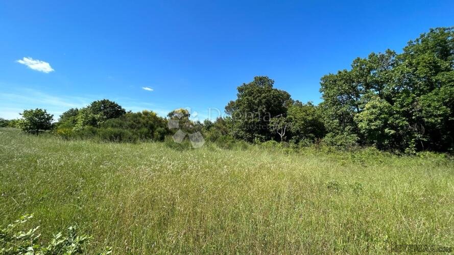 Šuma u Marčani: 17544 m² s Pristupnim Putem - 3