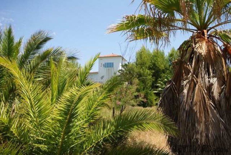 For sale exclusive frontline plot along the beach in Es.. - 4