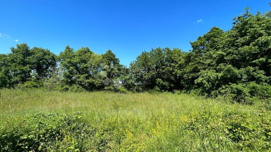 Poljoprivredno Zemljište u Muntiću: 1971 m² - 2