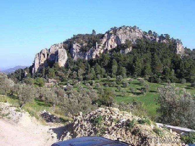 Very attractive stone house of 90m2, plus porches and.. - 2