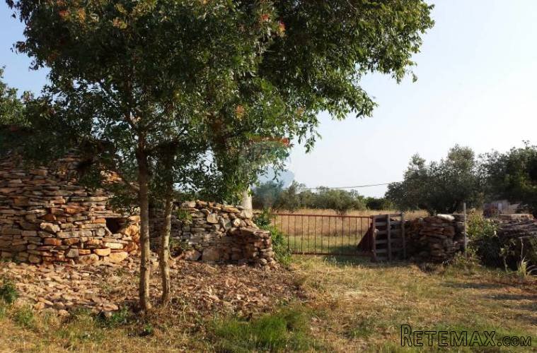 Istra, okolica Vodnjana, velika parcela sa gradjevinskim... - 2