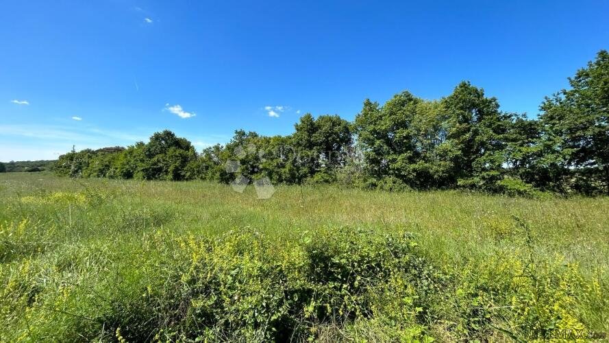 Poljoprivredno Zemljište u Muntiću: 1971 m² - 3
