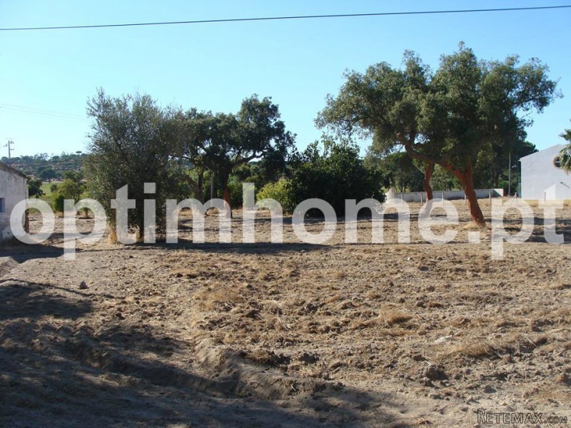 Farm For Sale - Santarem - 2
