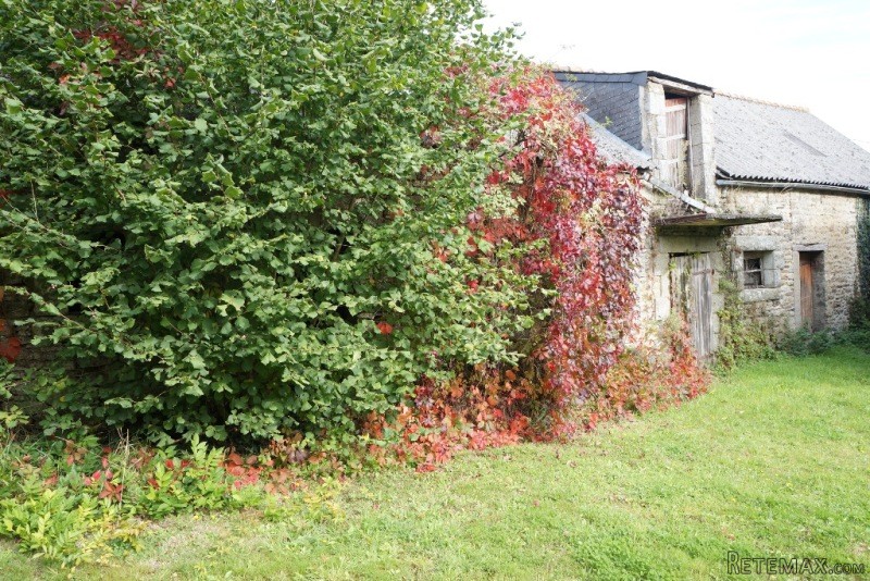 Detached Countryside Property - 2