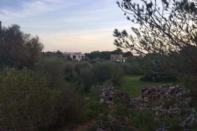 Plot in Cala Santanyi, near Sa torre..