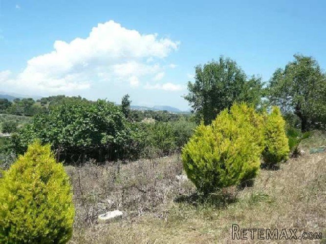Charming rustic plot with a little house of 25m2 in a.. - 2