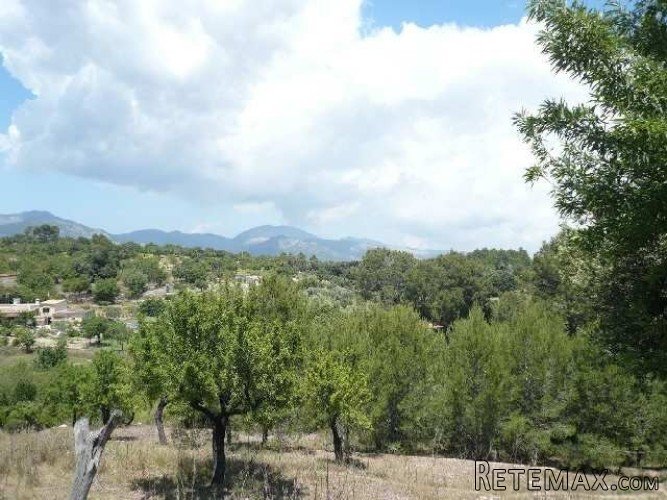 Charming rustic plot with a little house of 25m2 in a.. - 3