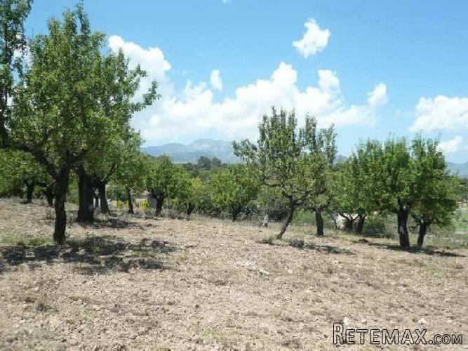 Charming rustic plot with a little house of 25m2 in a.. - 4
