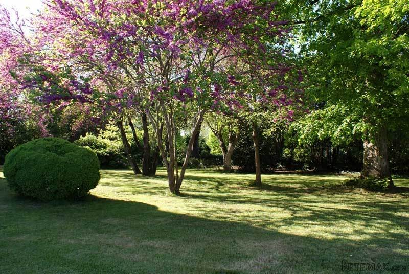 Charming Chateau With B&b Business In.. - 2