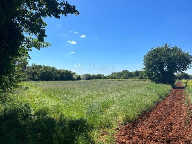 Poljoprivredno Zemljište u Muntiću: 3352 m² - 2