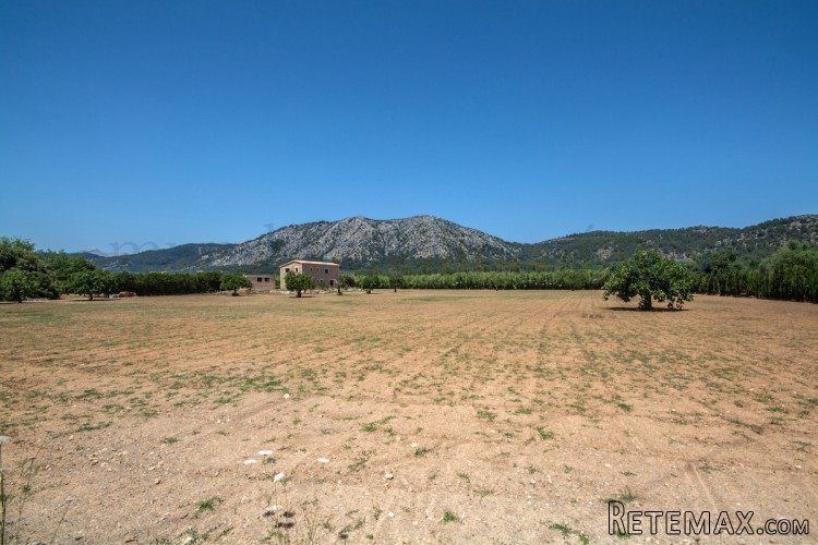 Piece of land, located in the municipality of Pollença in a.. - 3