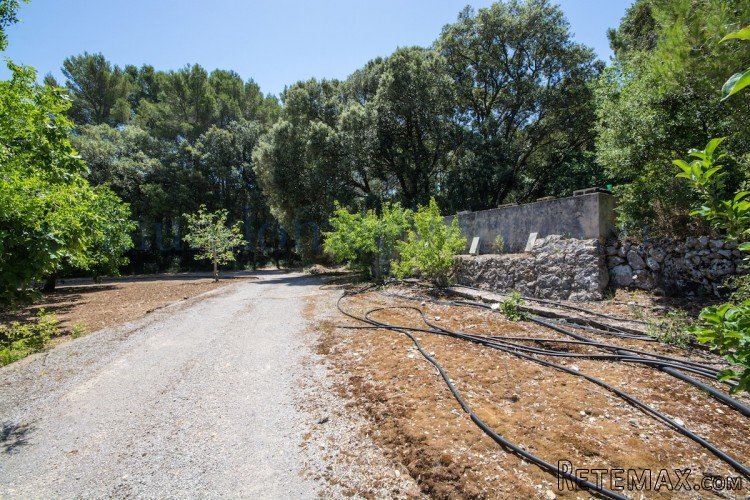 Piece of land, located in the municipality of Pollença in a.. - 4