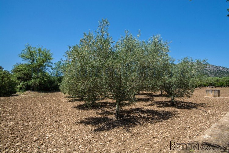 Piece of land, located in the municipality of Pollença in a.. - 5