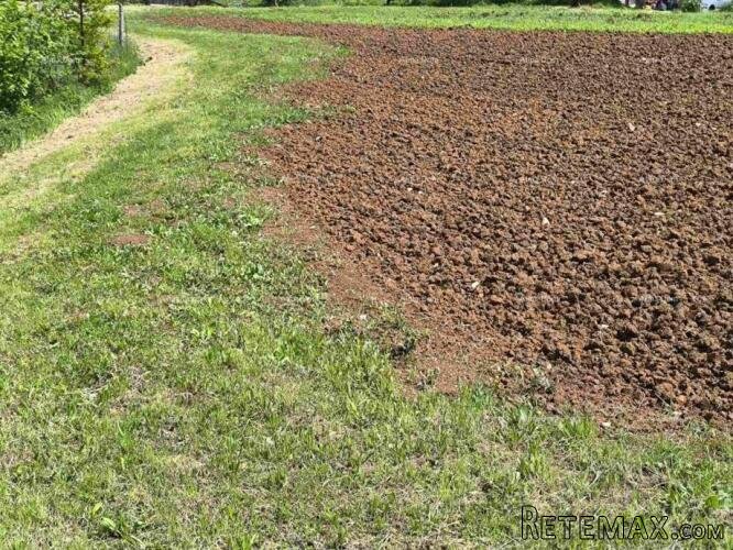 GRAĐEVINSKO ZEMLJIŠTE 2.297 m² U BLIZINI PAZINA - 2