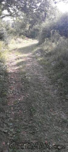 MATULJI BRGUD GRAĐEVINSKI TEREN