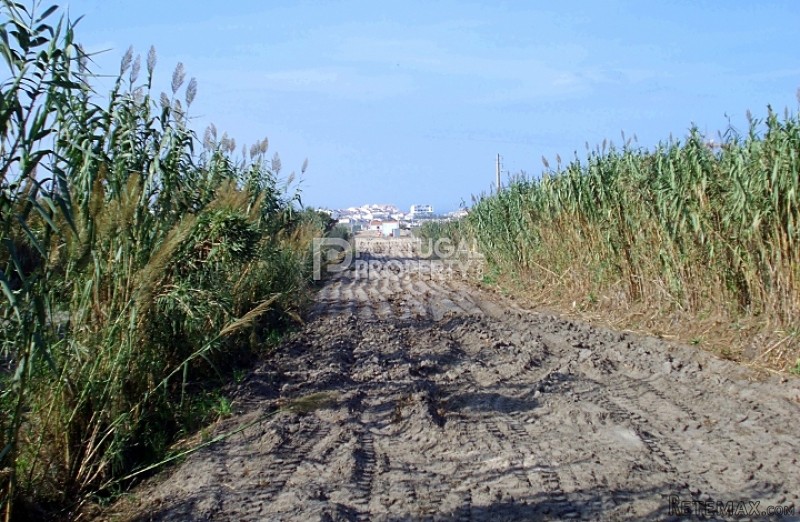 Land at just 2 steps from the beach in.. - 2
