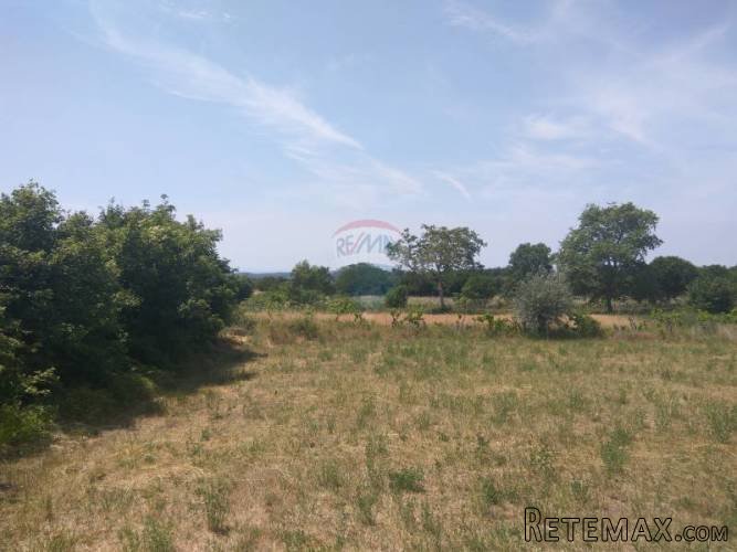 Istra, Kanfanar- građevinsko zemljište 3160m2 - 2
