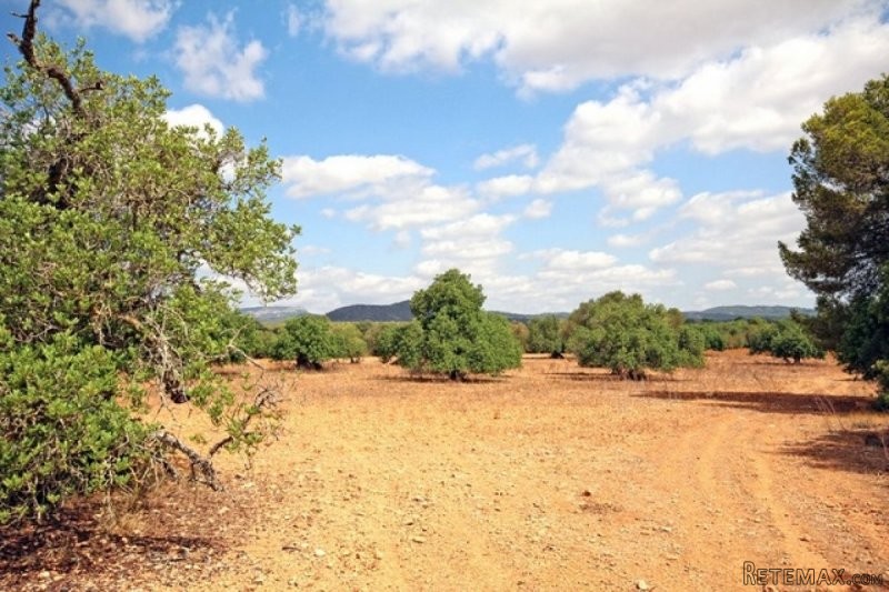 2 building plots with ruine for a..