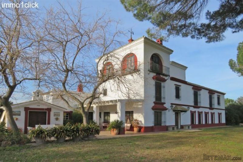 Sevilla: Country horse property, Riding..