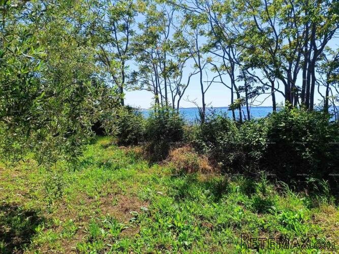 PEROJ – POLJOPRIVREDNO ZEMLJIŠTE 2.715 m² U BLIZINI MORA - 2