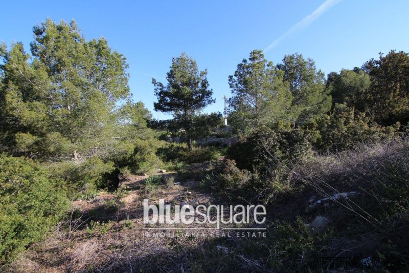 Large plot of over 5000m2 within..