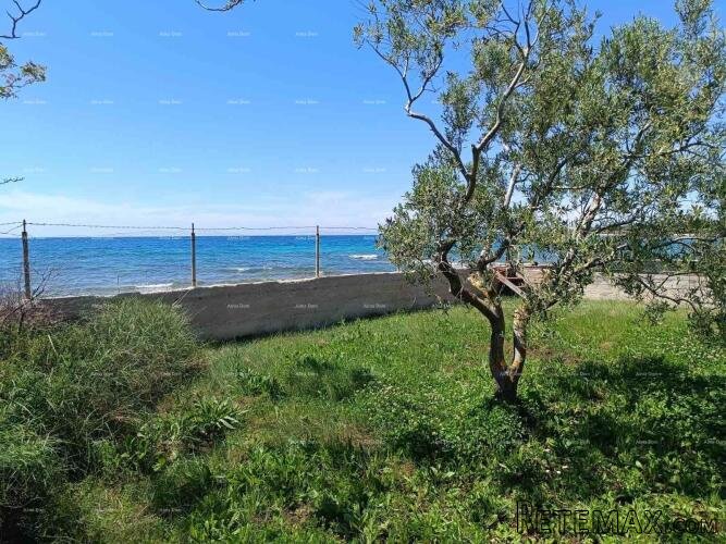 PEROJ – POLJOPRIVREDNO ZEMLJIŠTE 2.715 m² U BLIZINI MORA - 3