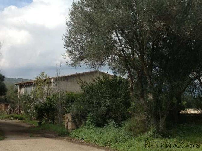 Magnificent manor house in Llubi. Located in a quiet area.. - 4