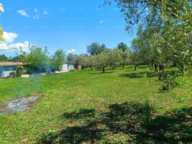 PEROJ – POLJOPRIVREDNO ZEMLJIŠTE 2.715 m² U BLIZINI MORA - 5