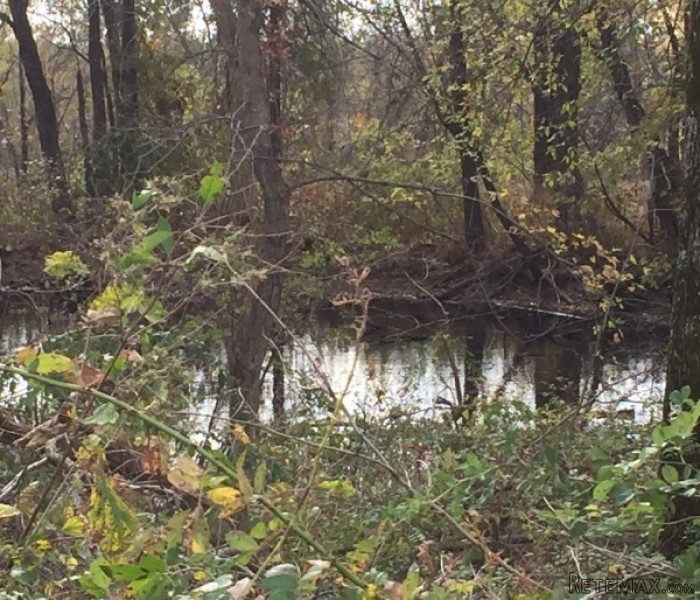 SOLD: 113 +/- Acres Tillable Farm For.. - 2