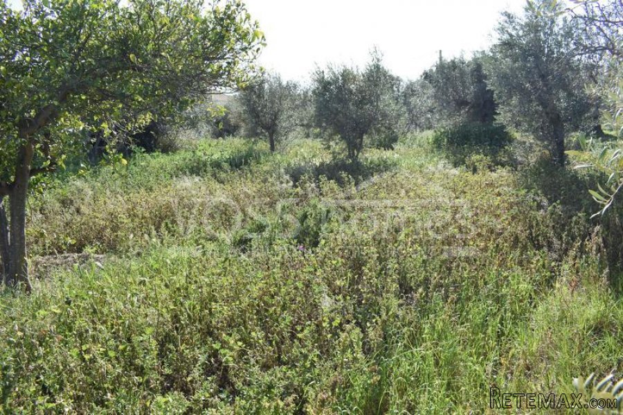 A lovely, Spanish habitable, 2 / 3 bed edge of village /.. - 8