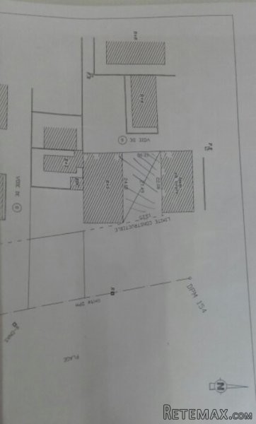 un Terrain a tantana chat meriem vue.. - 2