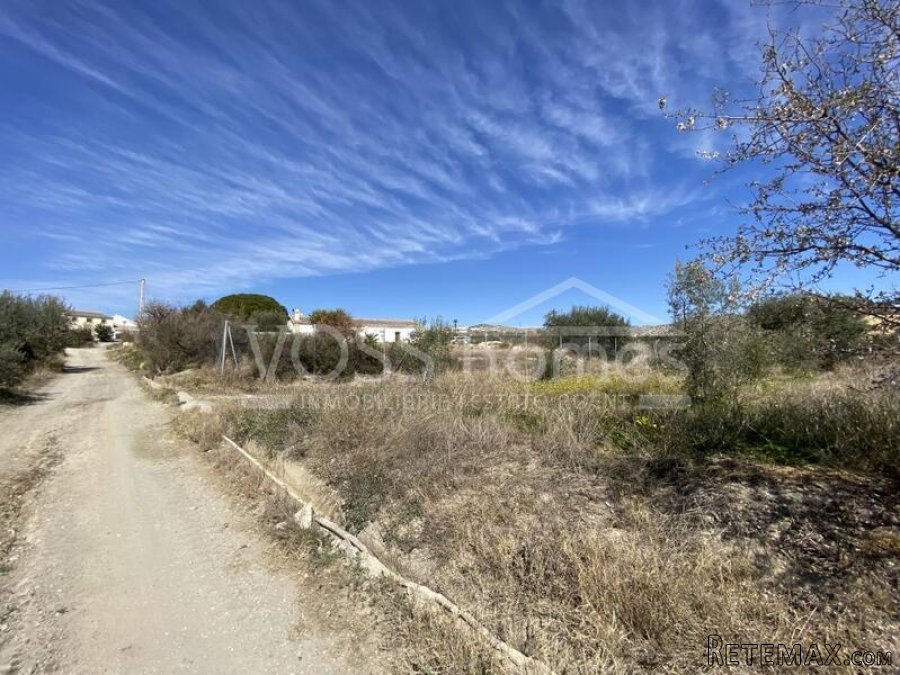 NEW & EXCLUSIVE TO VOSS HOMES - A large 174m2, deceptivey.. - 8