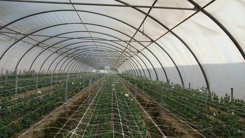 Farm - 2