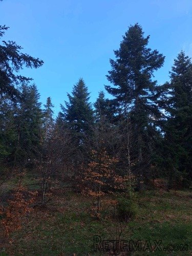 Plac Zlatibor selo Stublo - 12