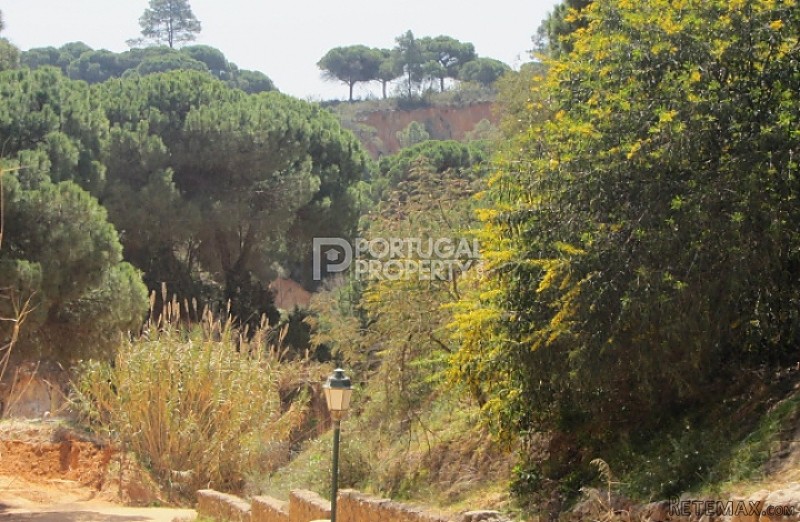 Plot of land close to the beach - 2