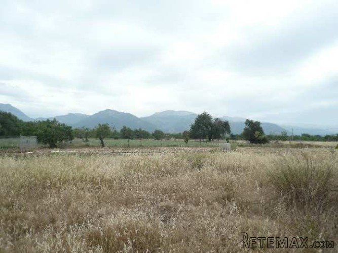 Rustic plot with farmhouse on the border of CAMPANET with.. - 3