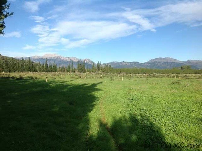 Son Vivot has approx. 500.000m2 of land, 100 year old.. - 3