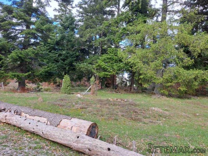 Plac Zlatibor selo Stublo - 16