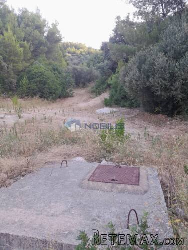 Korčula, Blato, 30.526 m2, južna strana, mogućnost gradnje - 7