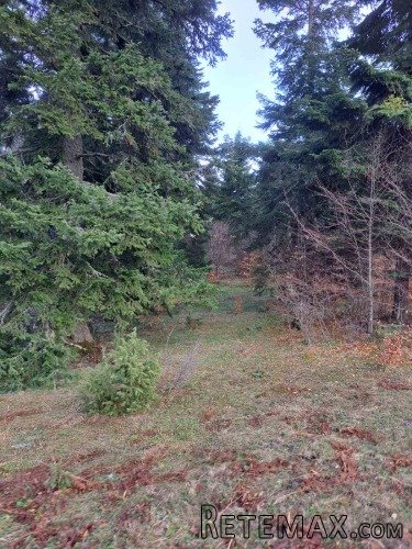 Plac Zlatibor selo Stublo - 17