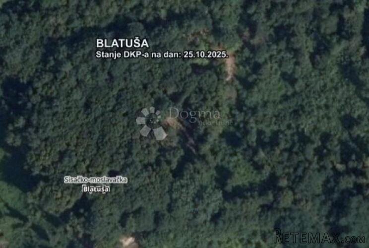 Hektar šume u ekoselu- uz put - 2